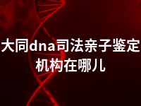 大同dna司法亲子鉴定机构在哪儿