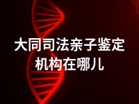 大同司法亲子鉴定机构在哪儿