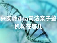 大兴安岭dna司法亲子鉴定机构在哪儿