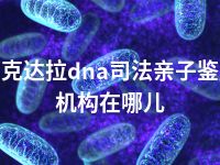 可克达拉dna司法亲子鉴定机构在哪儿