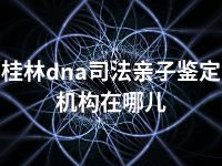 桂林dna司法亲子鉴定机构在哪儿