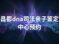 昌都dna司法亲子鉴定中心预约