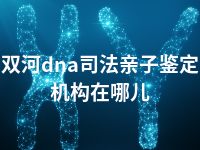 双河dna司法亲子鉴定机构在哪儿