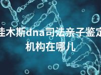 佳木斯dna司法亲子鉴定机构在哪儿