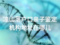 凉山落户口亲子鉴定机构地址在哪儿