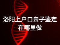 洛阳上户口亲子鉴定在哪里做