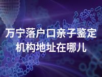 万宁落户口亲子鉴定机构地址在哪儿