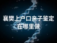 襄樊上户口亲子鉴定在哪里做