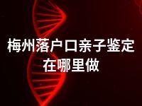 梅州落户口亲子鉴定在哪里做