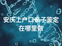 安庆上户口亲子鉴定在哪里做