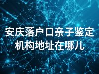 安庆落户口亲子鉴定机构地址在哪儿