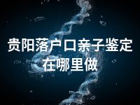 贵阳落户口亲子鉴定在哪里做