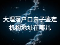 大理落户口亲子鉴定机构地址在哪儿