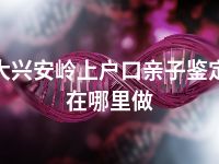 大兴安岭上户口亲子鉴定在哪里做