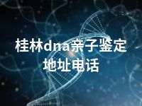 桂林dna亲子鉴定地址电话