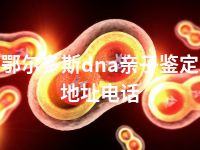 鄂尔多斯dna亲子鉴定地址电话