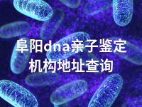 阜阳dna亲子鉴定机构地址查询