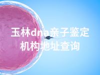 玉林dna亲子鉴定机构地址查询