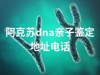 阿克苏dna亲子鉴定地址电话