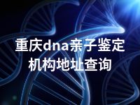 重庆dna亲子鉴定机构地址查询