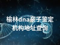 榆林dna亲子鉴定机构地址查询