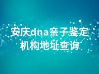 安庆dna亲子鉴定机构地址查询