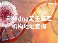 郑州dna亲子鉴定机构地址查询