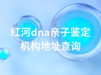 红河dna亲子鉴定机构地址查询