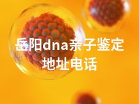 岳阳dna亲子鉴定地址电话