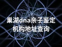 巢湖dna亲子鉴定机构地址查询