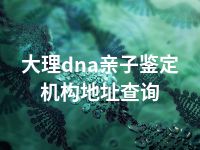 大理dna亲子鉴定机构地址查询