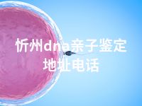 忻州dna亲子鉴定地址电话