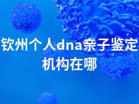 钦州个人dna亲子鉴定机构在哪