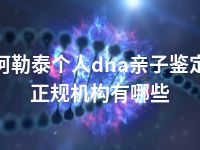 阿勒泰个人dna亲子鉴定正规机构有哪些