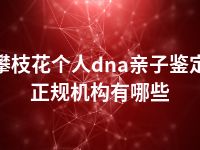 攀枝花个人dna亲子鉴定正规机构有哪些