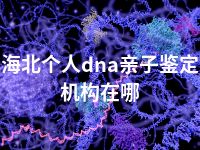 海北个人dna亲子鉴定机构在哪