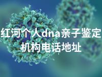 红河个人dna亲子鉴定机构电话地址