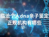 临沧个人dna亲子鉴定正规机构有哪些