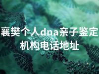 襄樊个人dna亲子鉴定机构电话地址