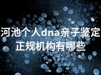 河池个人dna亲子鉴定正规机构有哪些