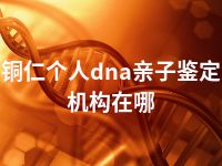 铜仁个人dna亲子鉴定机构在哪