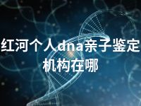 红河个人dna亲子鉴定机构在哪