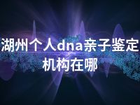 湖州个人dna亲子鉴定机构在哪