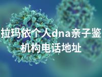 克拉玛依个人dna亲子鉴定机构电话地址