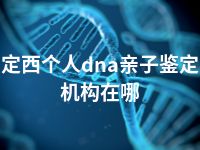 定西个人dna亲子鉴定机构在哪