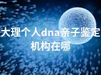 大理个人dna亲子鉴定机构在哪