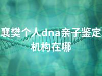 襄樊个人dna亲子鉴定机构在哪