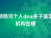 胡杨河个人dna亲子鉴定机构在哪