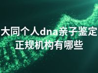 大同个人dna亲子鉴定正规机构有哪些