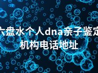 六盘水个人dna亲子鉴定机构电话地址